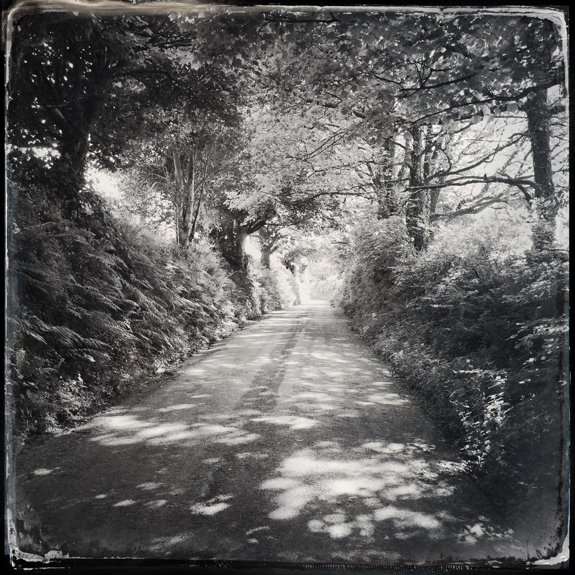 Jon Wyatt Photography - Sanctuary - Part II - woodland paths in Cornwall & Devon