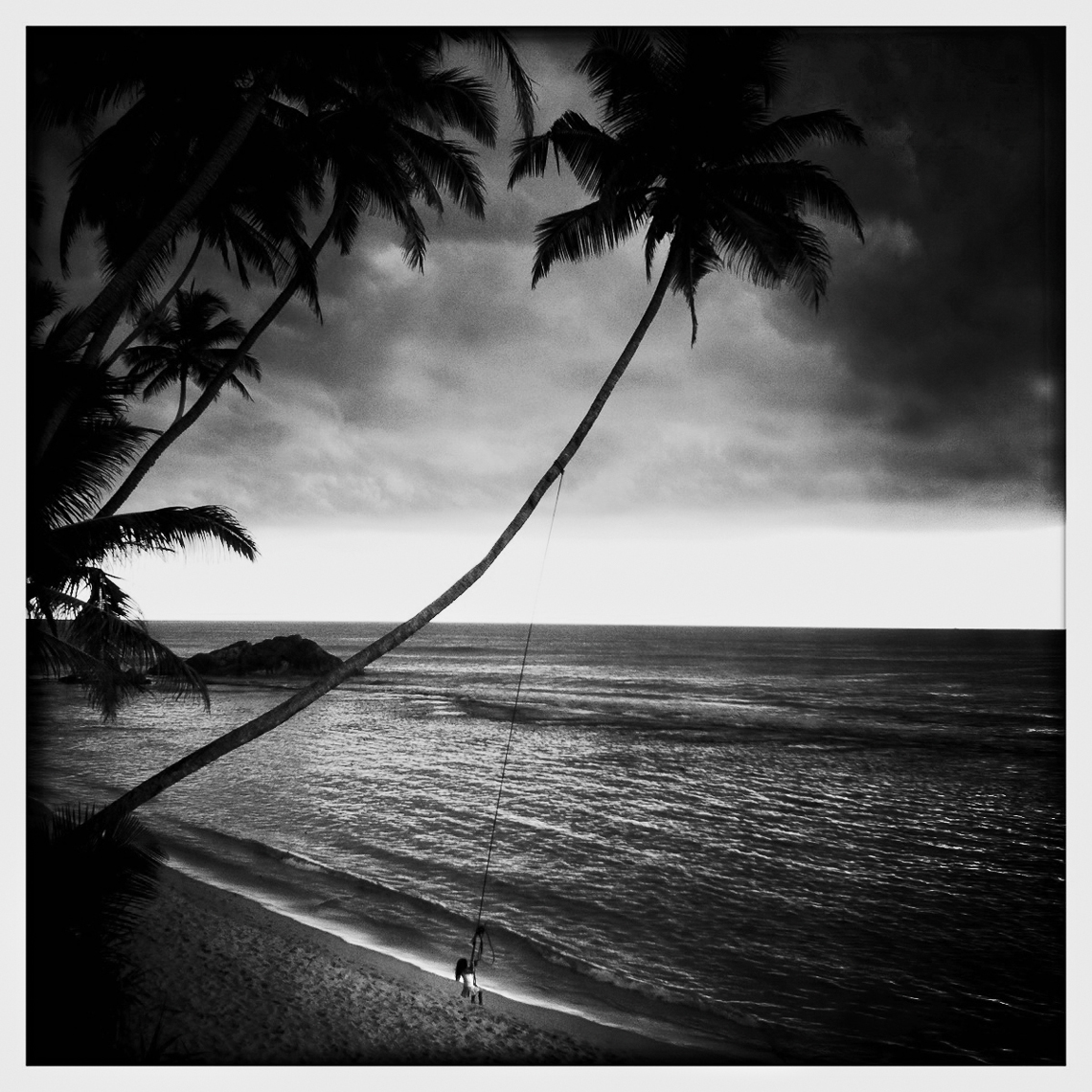Jon Wyatt Photography - Girl swinging on palm tree over beach in Sri Lanka